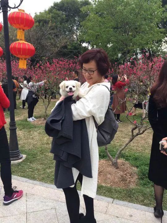 58歲的她，自駕房車旅居，一人兩犬，活成了自己喜歡的樣子