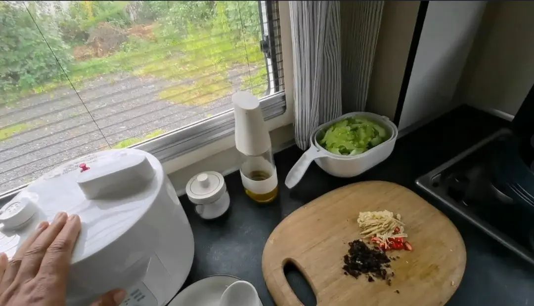 58歲的她，自駕房車旅居，一人兩犬，活成了自己喜歡的樣子
